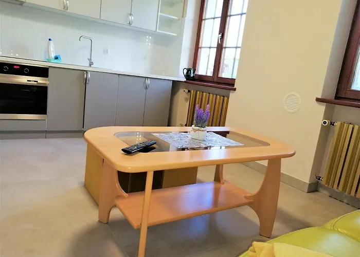 Апартаменты Dom Wypoczynkowy Rybnicka -